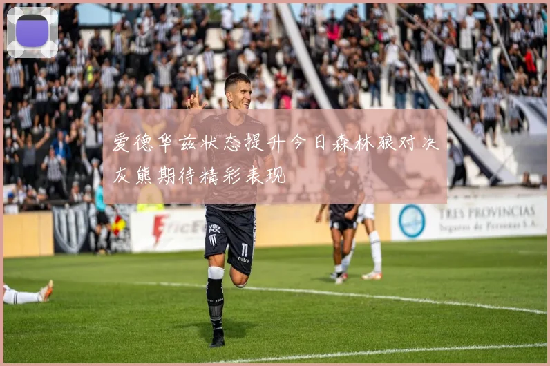 爱德华兹状态提升今日森林狼对决灰熊期待精彩表现